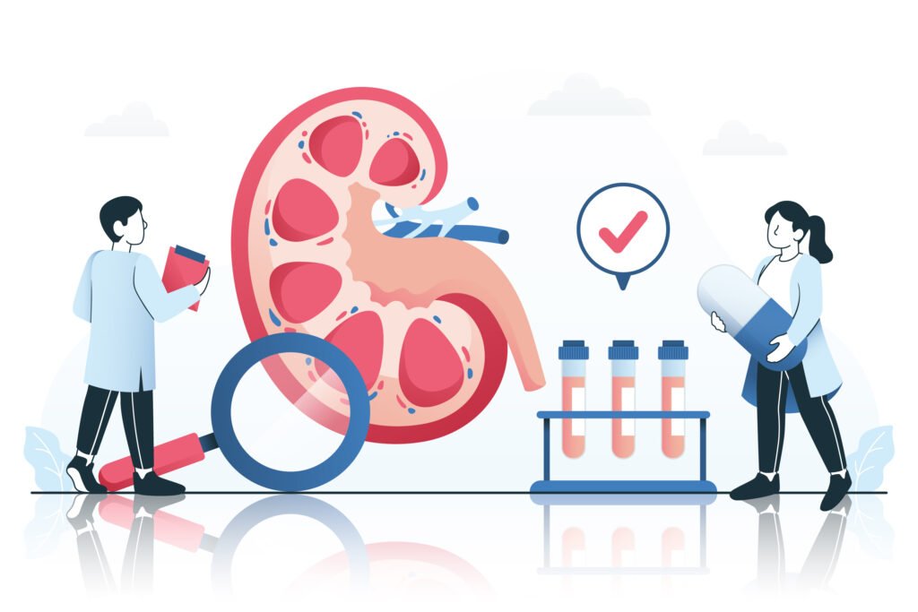 kidney
